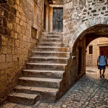 Optimum 트로기르