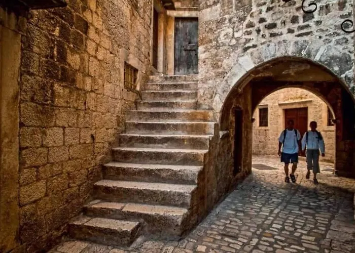 Optimum 트로기르