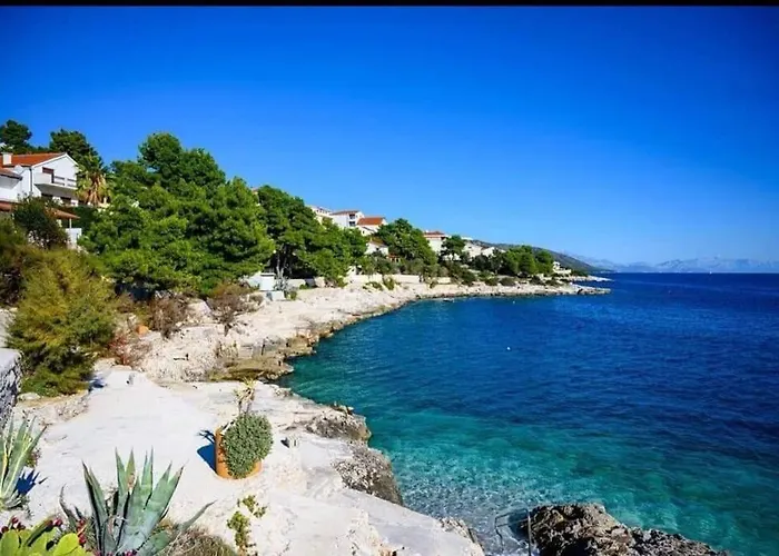 Optimum Trogir